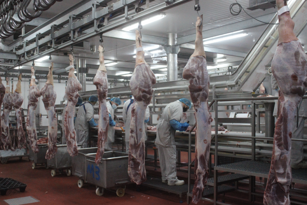 Linha industrial de processamento de carne da Valsabor