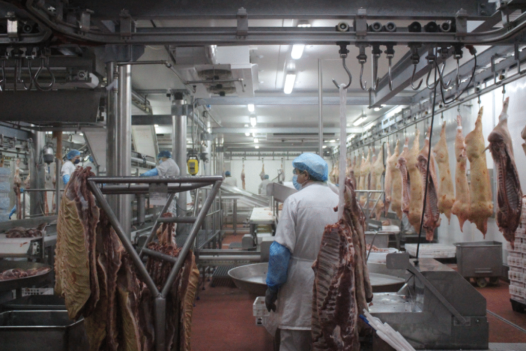 Linha industrial de transformação e processamento de carne da Valsabor