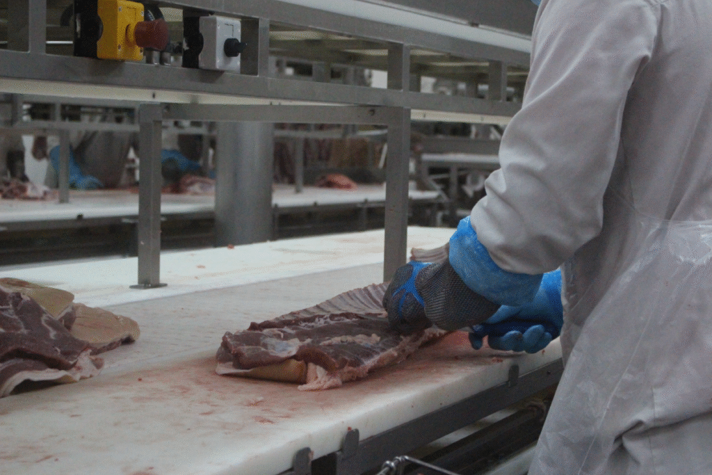 Operador em linha de corte e preparação de carne na unidade industrial da Valsabor