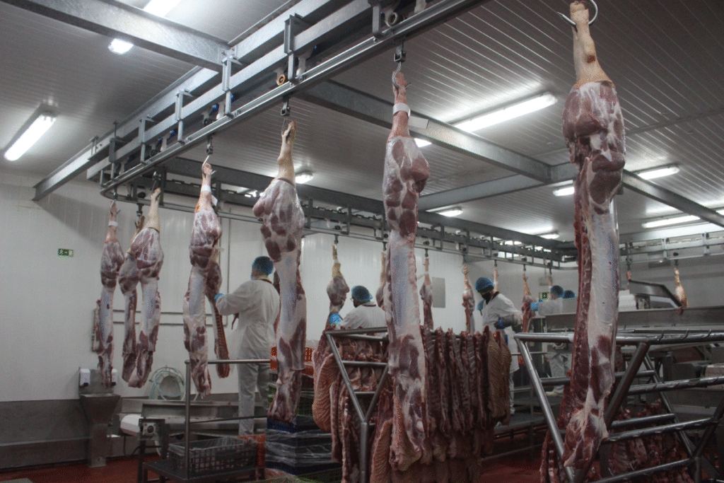 Linha industrial de processamento e preparação de carne na Valsabor