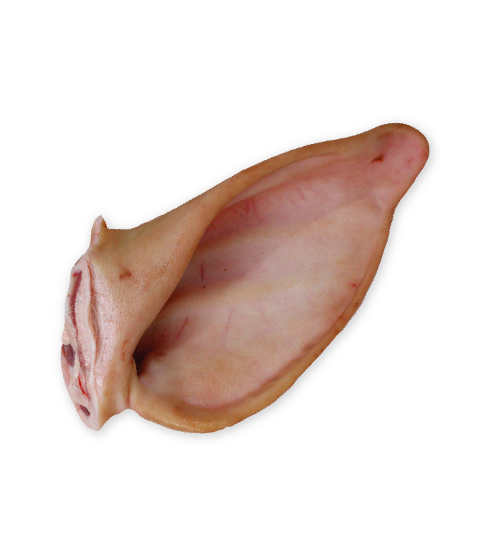 Orelha