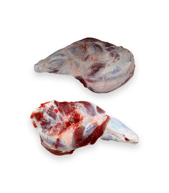 Paio york sem courato