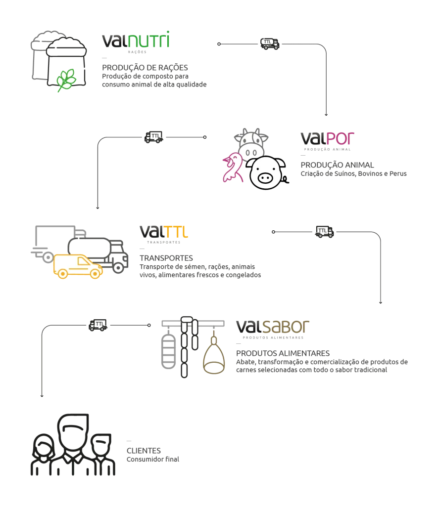 Ciclo Atividade