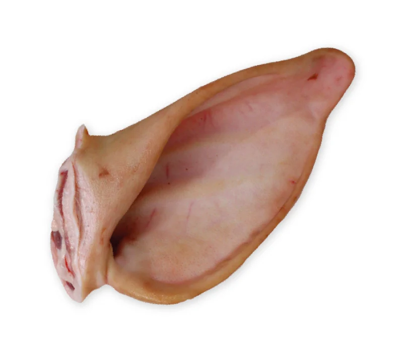 Orelha