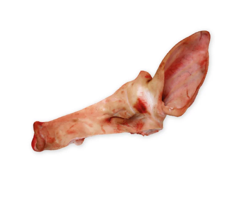 Orelheira