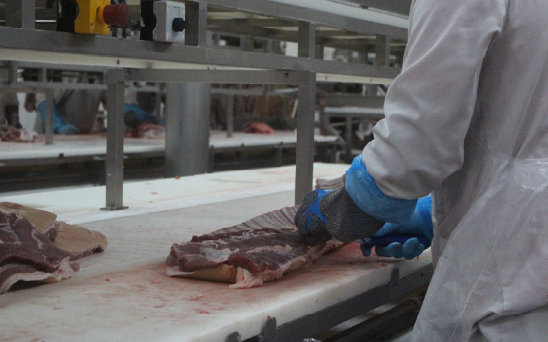 Programa faca chuva faca sol